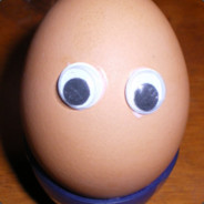 Eggxc