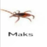 VLADISLAVE_PRIPIZDOK