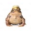 crapaud
