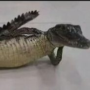 那谁又不小心死掉了