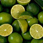 Lime