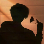 ‘她说无爱一身轻’