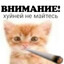 Кислотная пиявка