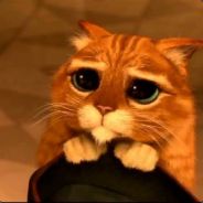 Кто Там ?