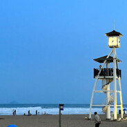 应该叫什么好呢