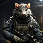 Mr-Rat