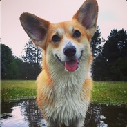 Trump2016 - steam id 76561197965609095