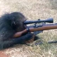 sniper monkey gamer