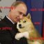 Putin Loves Doge &lt;3