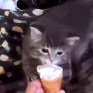 𝕫𝕒𝕔𝕒𝕣𝕚𝕒𝕤