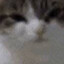 Kurve
