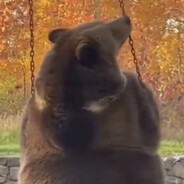 不得了德国大头耗子在偷吃我的霰射炸药