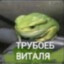 виталятрубоёб