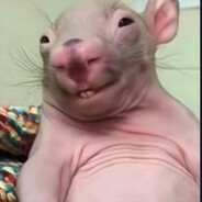 亲爱的我饱含爱意