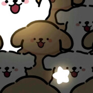 典典超想养只猫