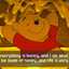 Winnie the Pooh