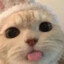 WhatDaDogDoin
