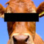 Just_A_Cow77