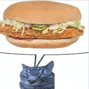 Kormogi