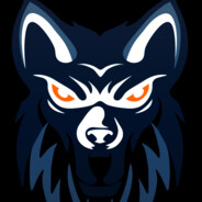 Wolfmeister - steam id 76561199203445612