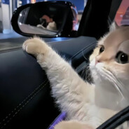 这次请牵我的手吧