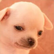 estudiante de la wetepe