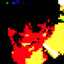 BAZIL__