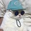 trendy cat (tier3 poki sub)