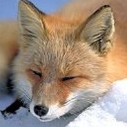 ゲームおじさん