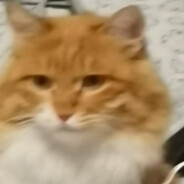 宇宙无敌酸辣番茄麻花