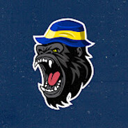 Player avatar