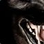 WarUnd | WoLf