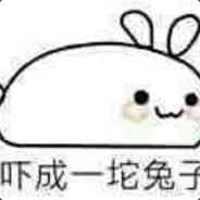 一坨兔子