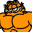 Skinny Garfield