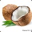 Cocococonut