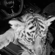 Captainxd in the scene