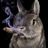 MrPasternak avatar