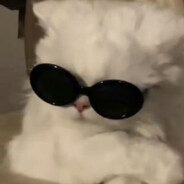 мяу avatar