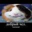 добри