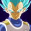 VEGETA