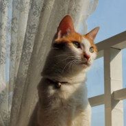 翻斗花园第一突击手图