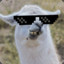 Lamamann