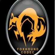 exGreyFox - steam id 76561197971025699