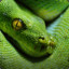 Sneic