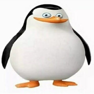 penguin avatar