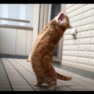 她已婚我想再等等