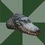the_crocodil