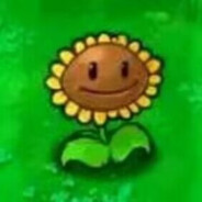 给你笑脸给多了？