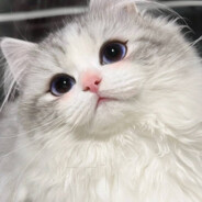 婳里婳气✿♫♬♪♩♫