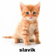 True slavik